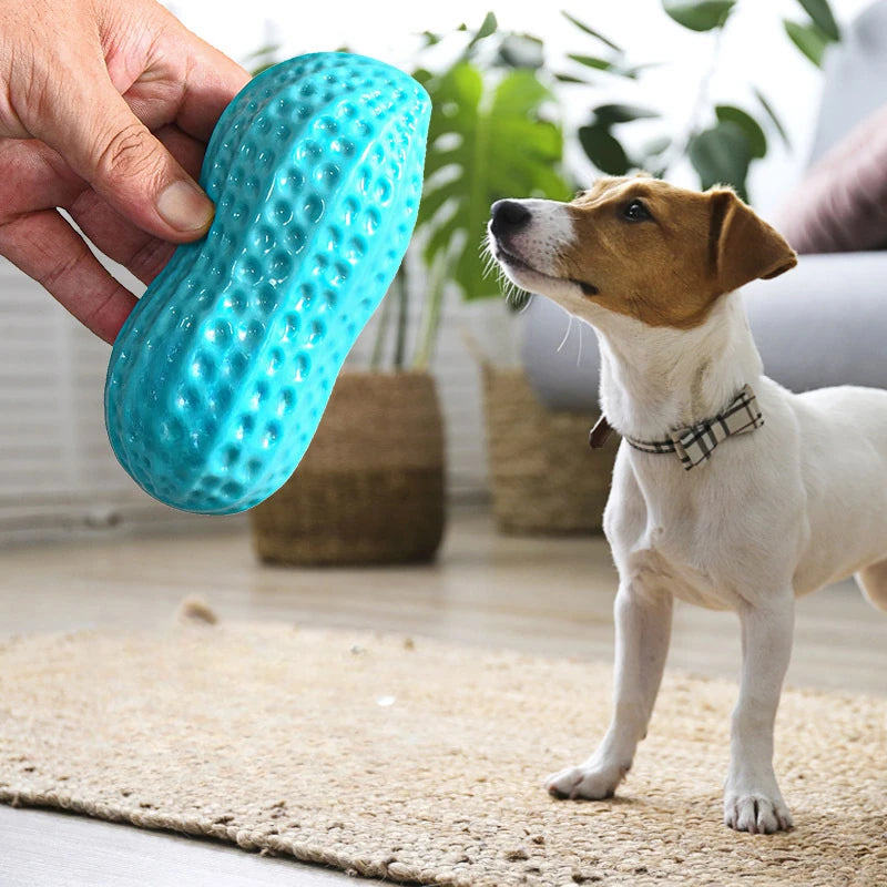 Brinquedo Mastigável Amendoim – Antiestresse, Limpa Dentes e com Apito para Cães