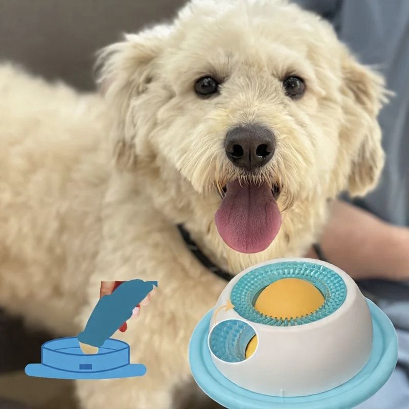 Comedouro Lento e Bolinha de Lamber 2 em 1 – Anti-Ansiedade para Cães e Gatos